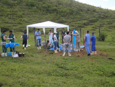 Prática na fazenda UFF